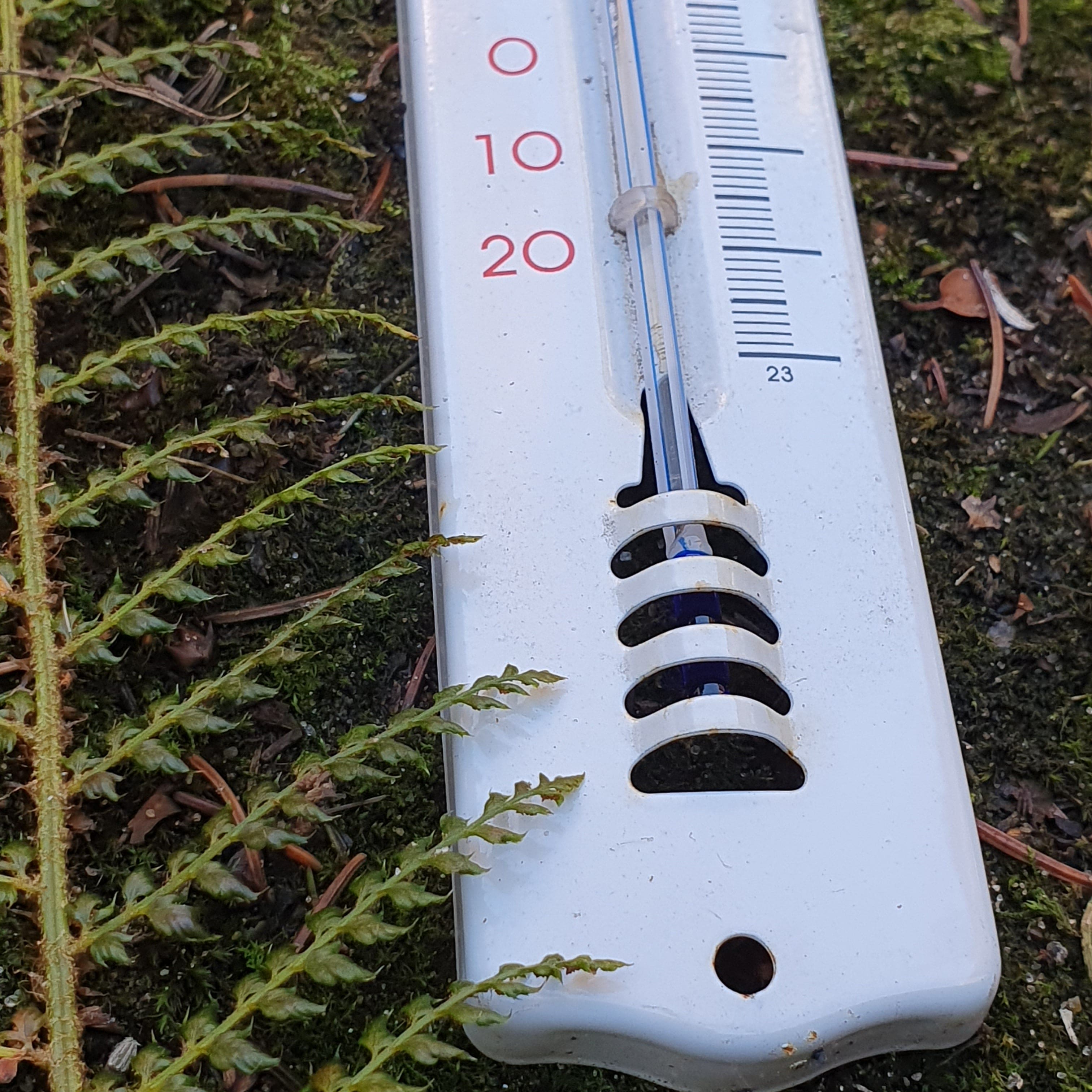 Thermometer