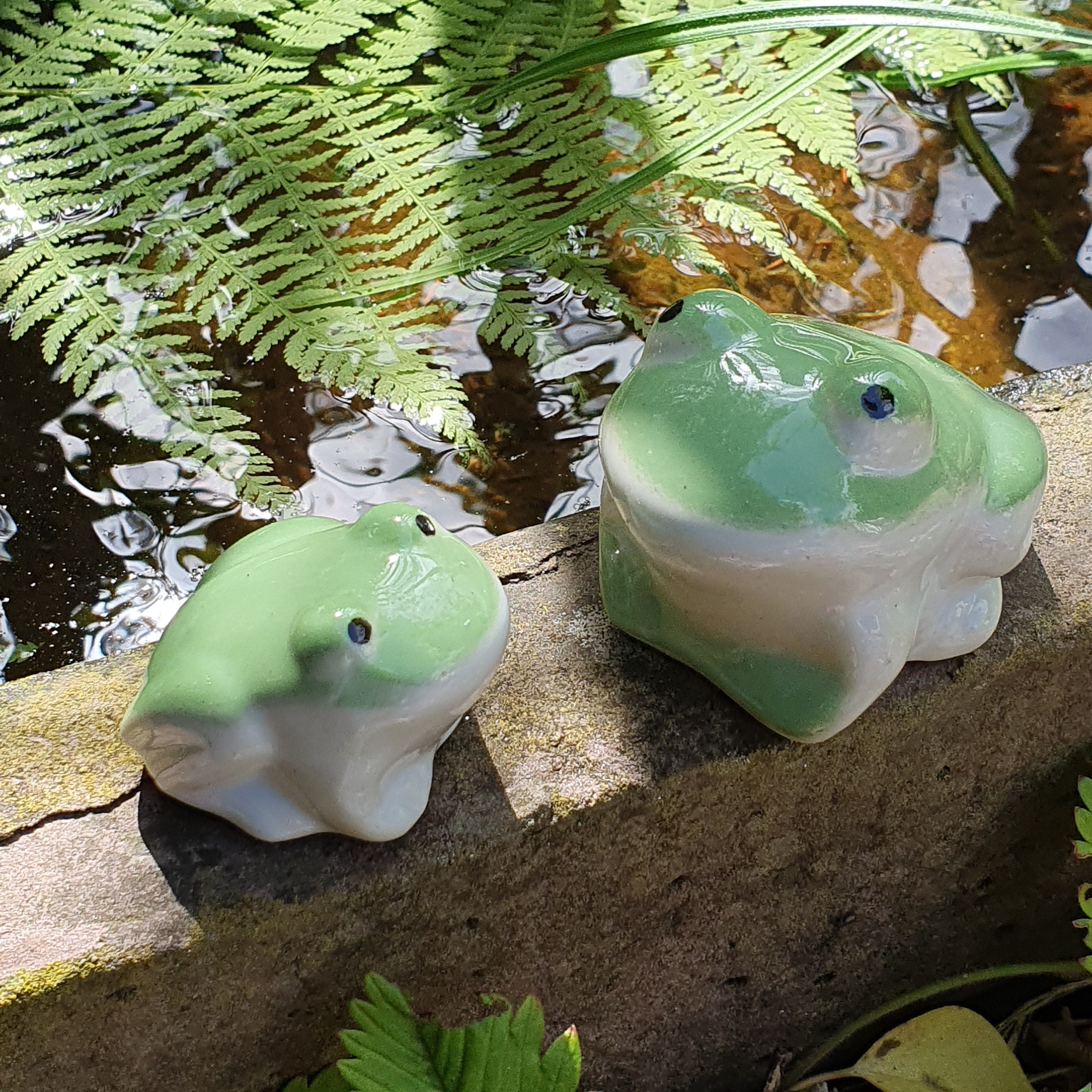 Frosch zum Schwimmen