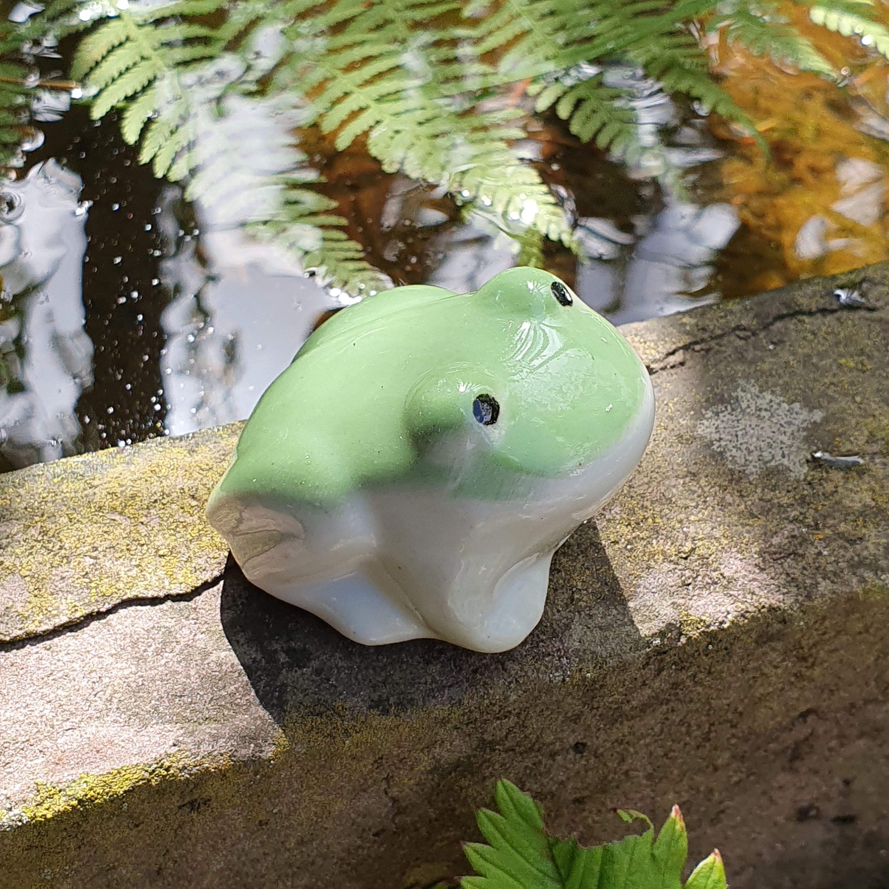 Frosch zum Schwimmen
