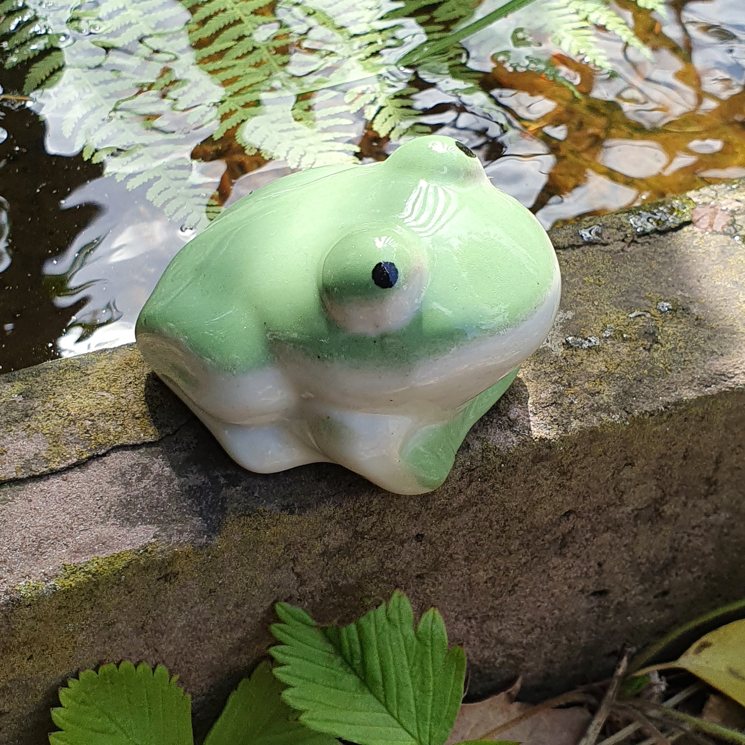 Frosch zum Schwimmen