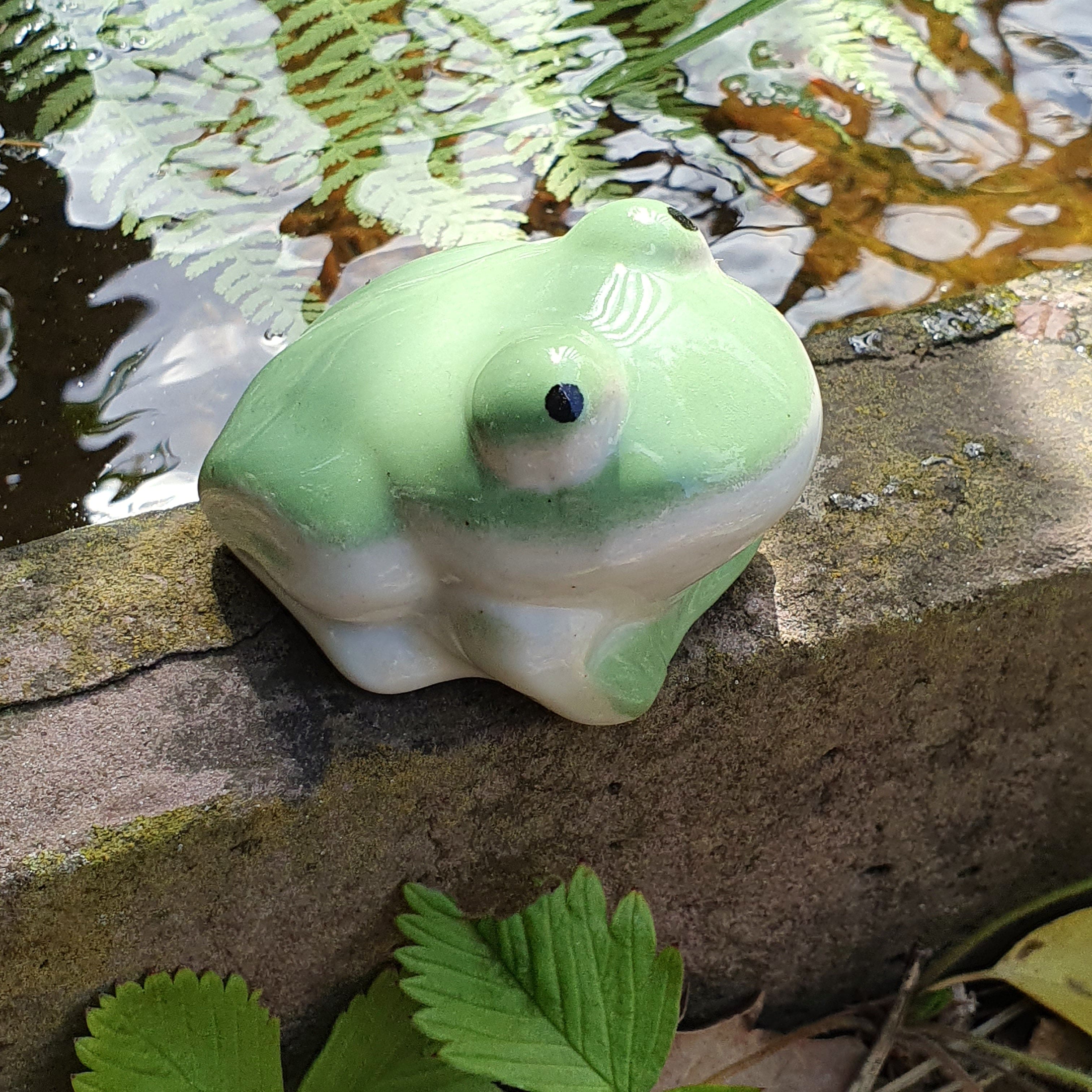 Frosch zum Schwimmen