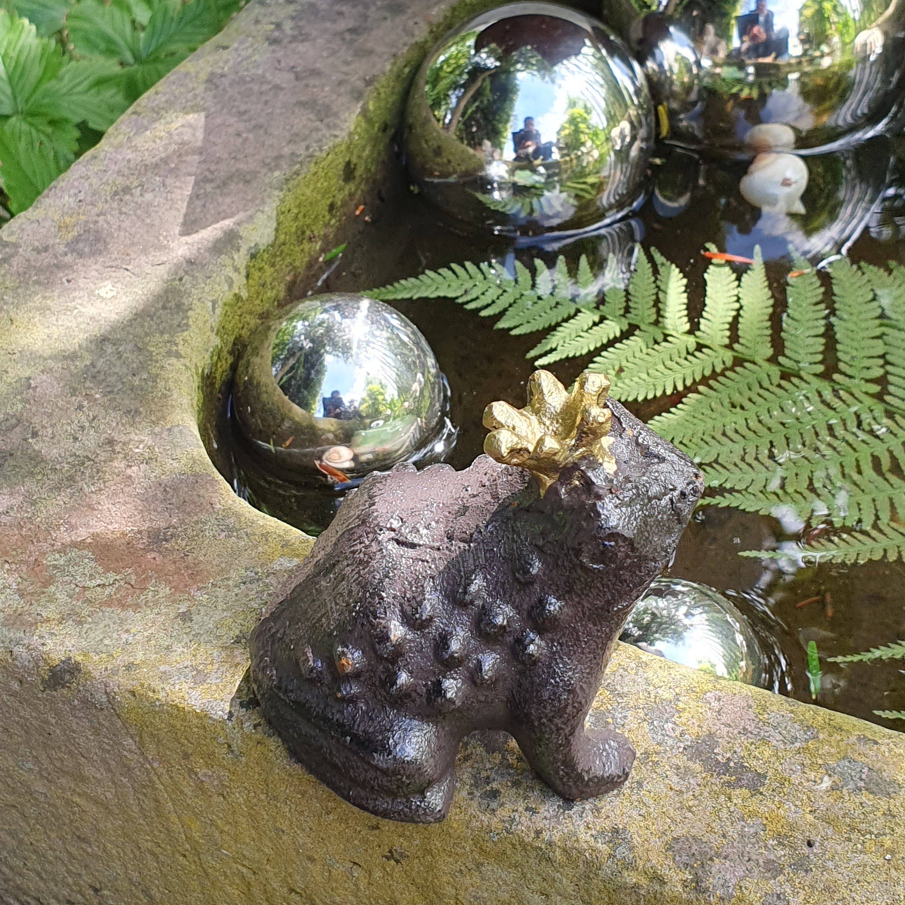 Froschkönig