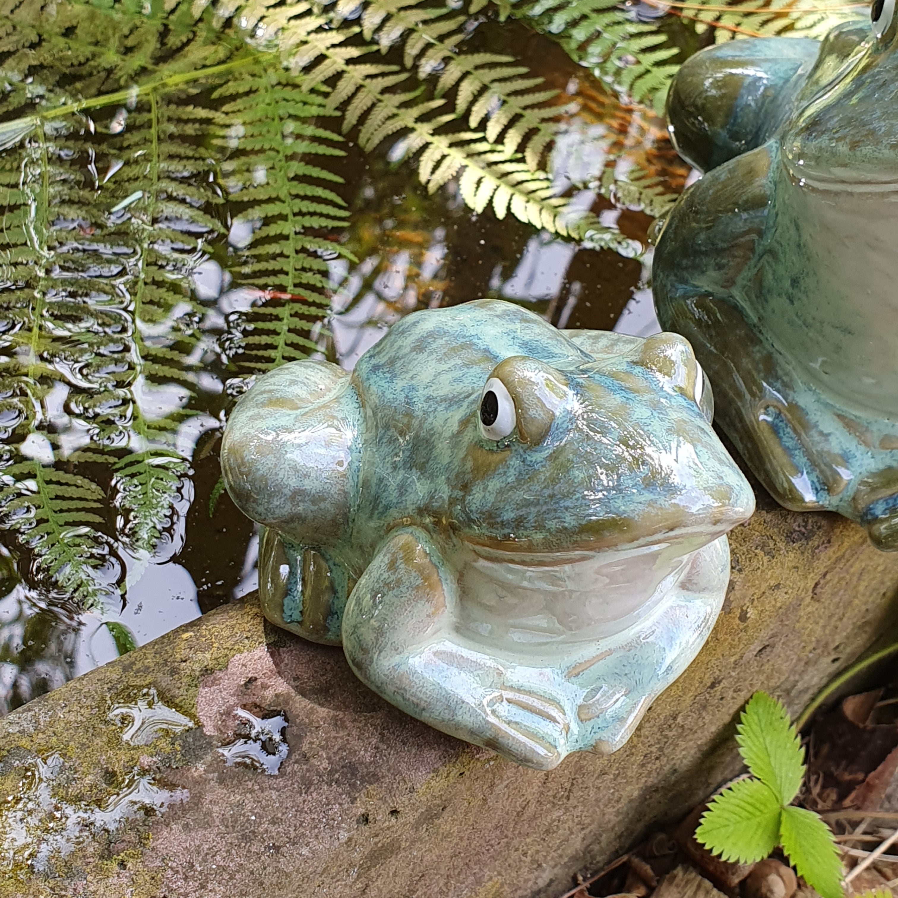 Frosch