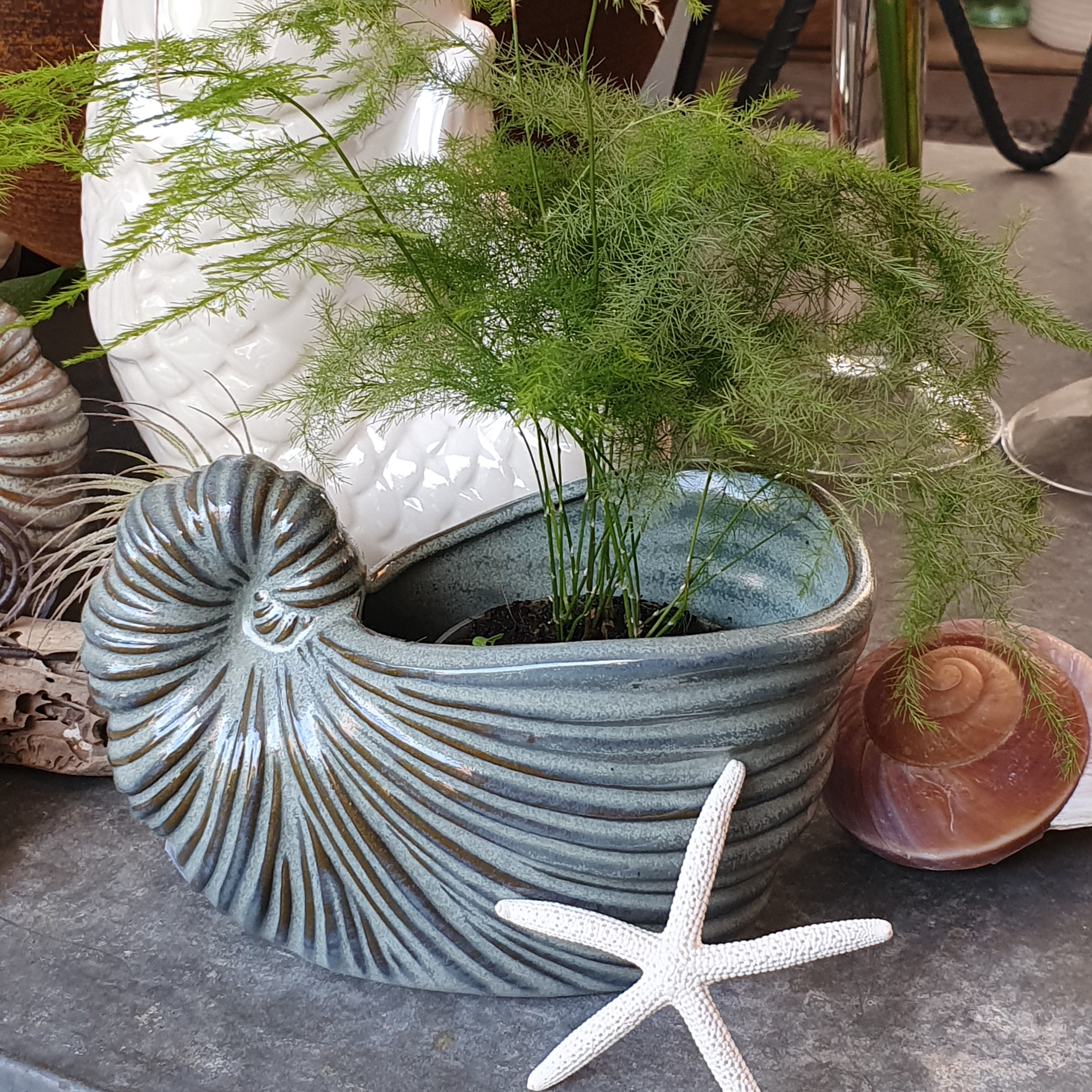 Schnecken Vase