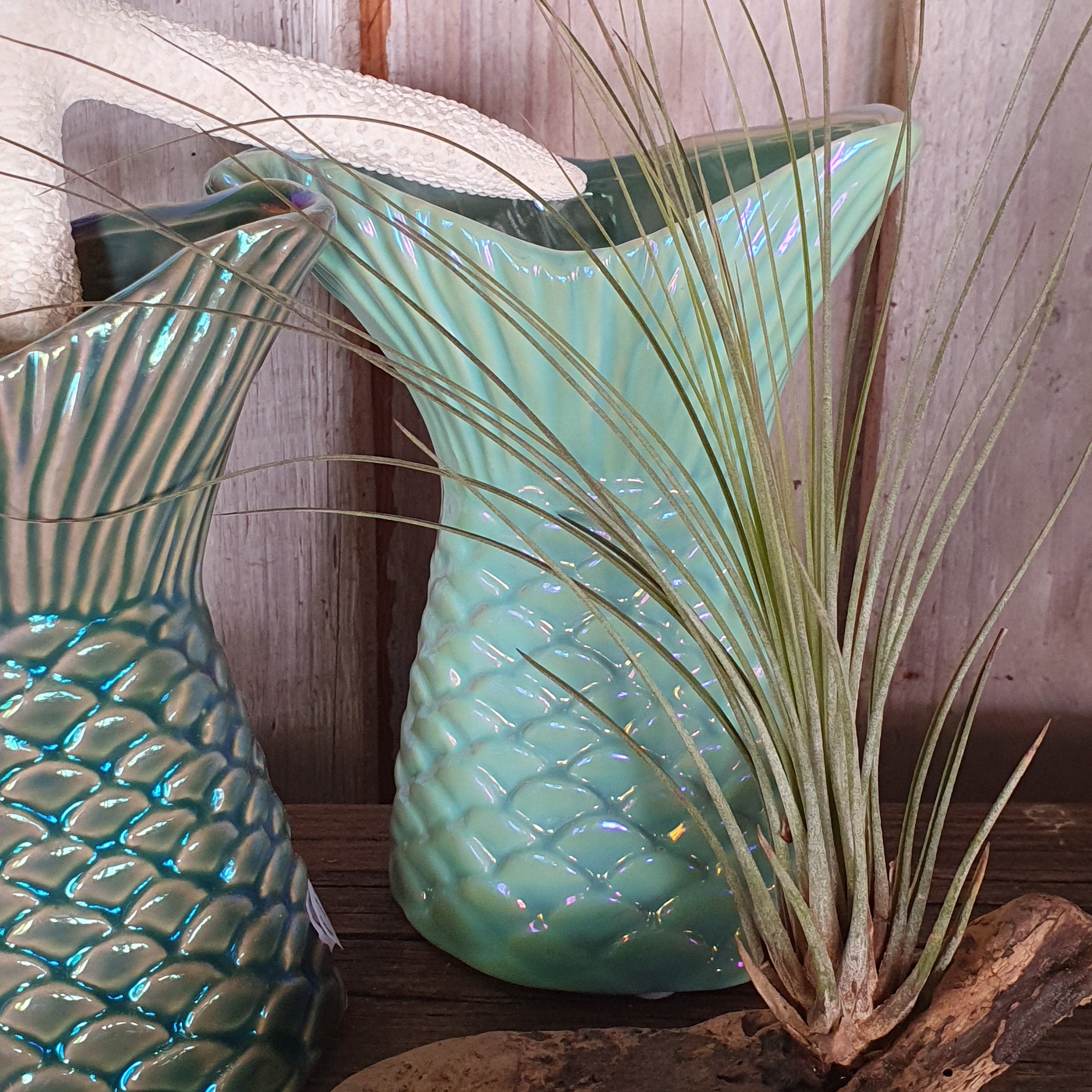 Fisch Vase