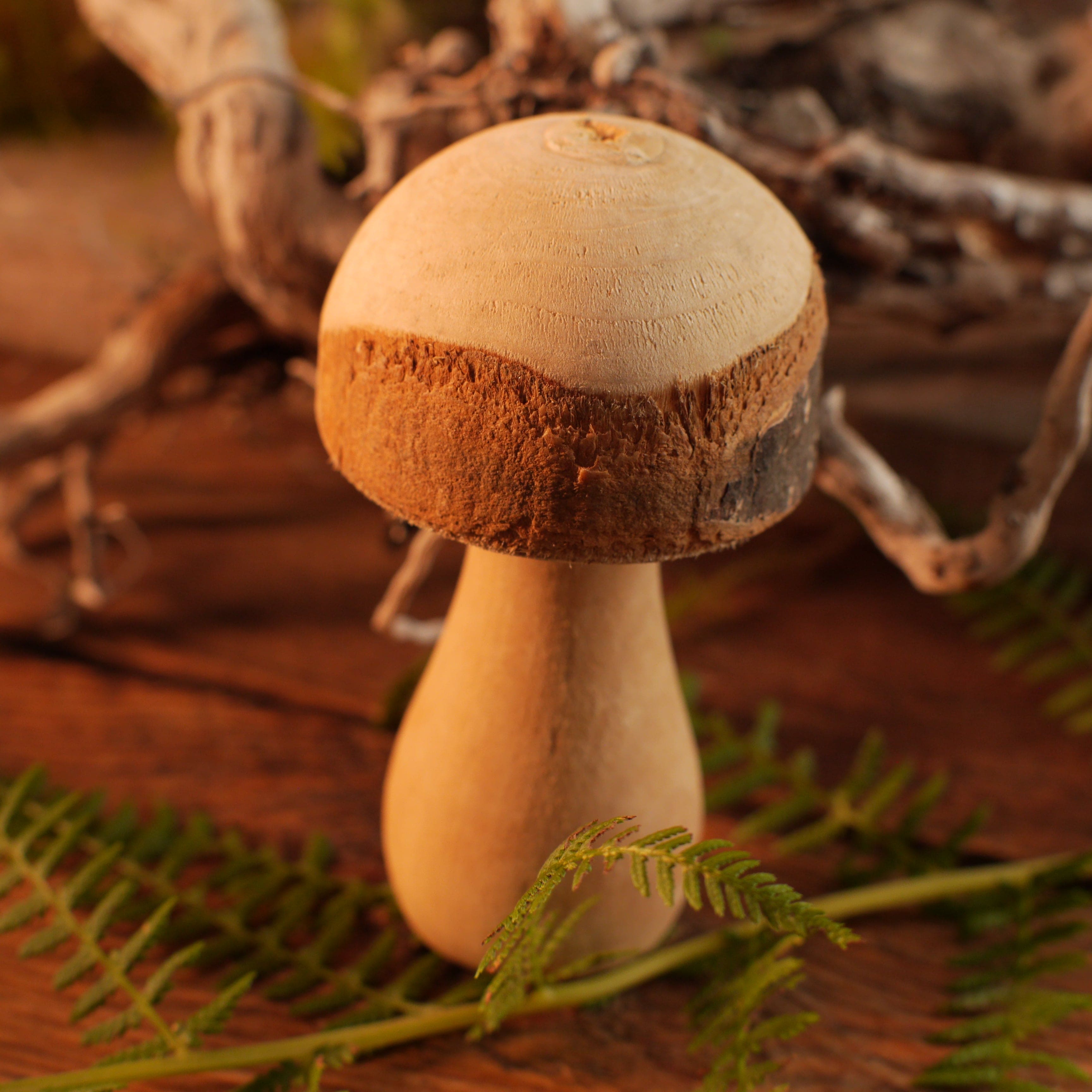 Holzpilz