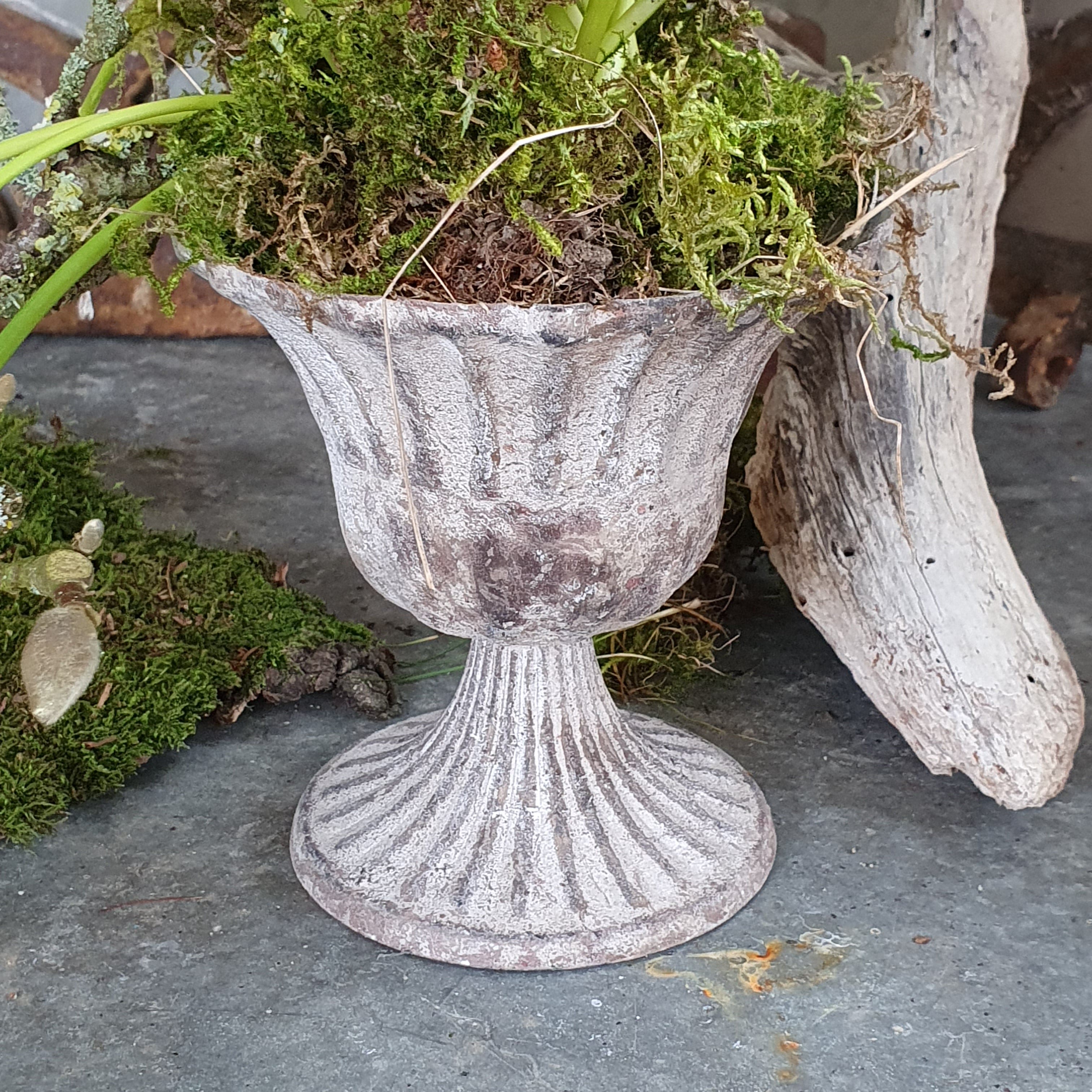 Zinkpokal