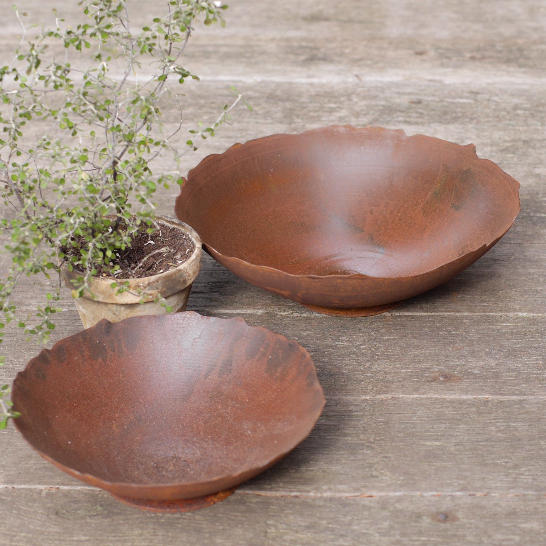Schale Rost mit welligem Rand