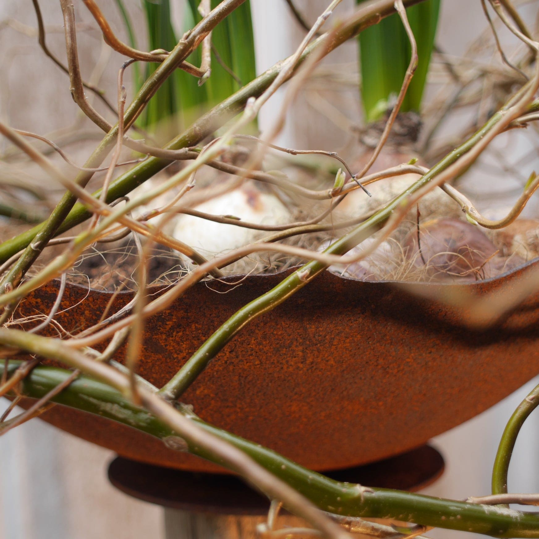 Schale Rost mit welligem Rand