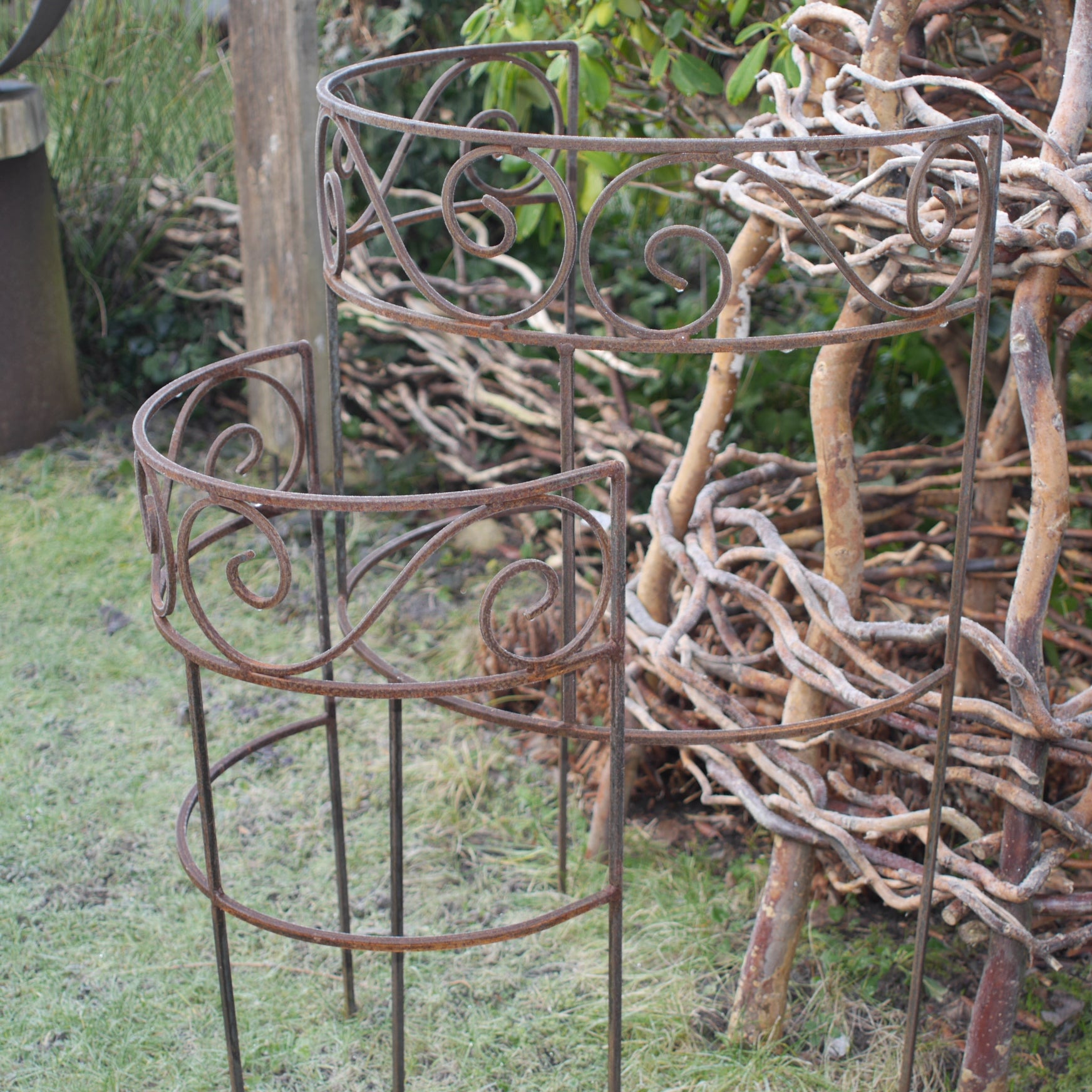 Staudenhalter halbrund - Rost (nur Abholung)