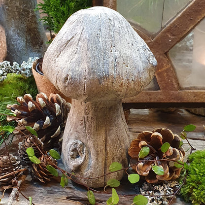 Pilze