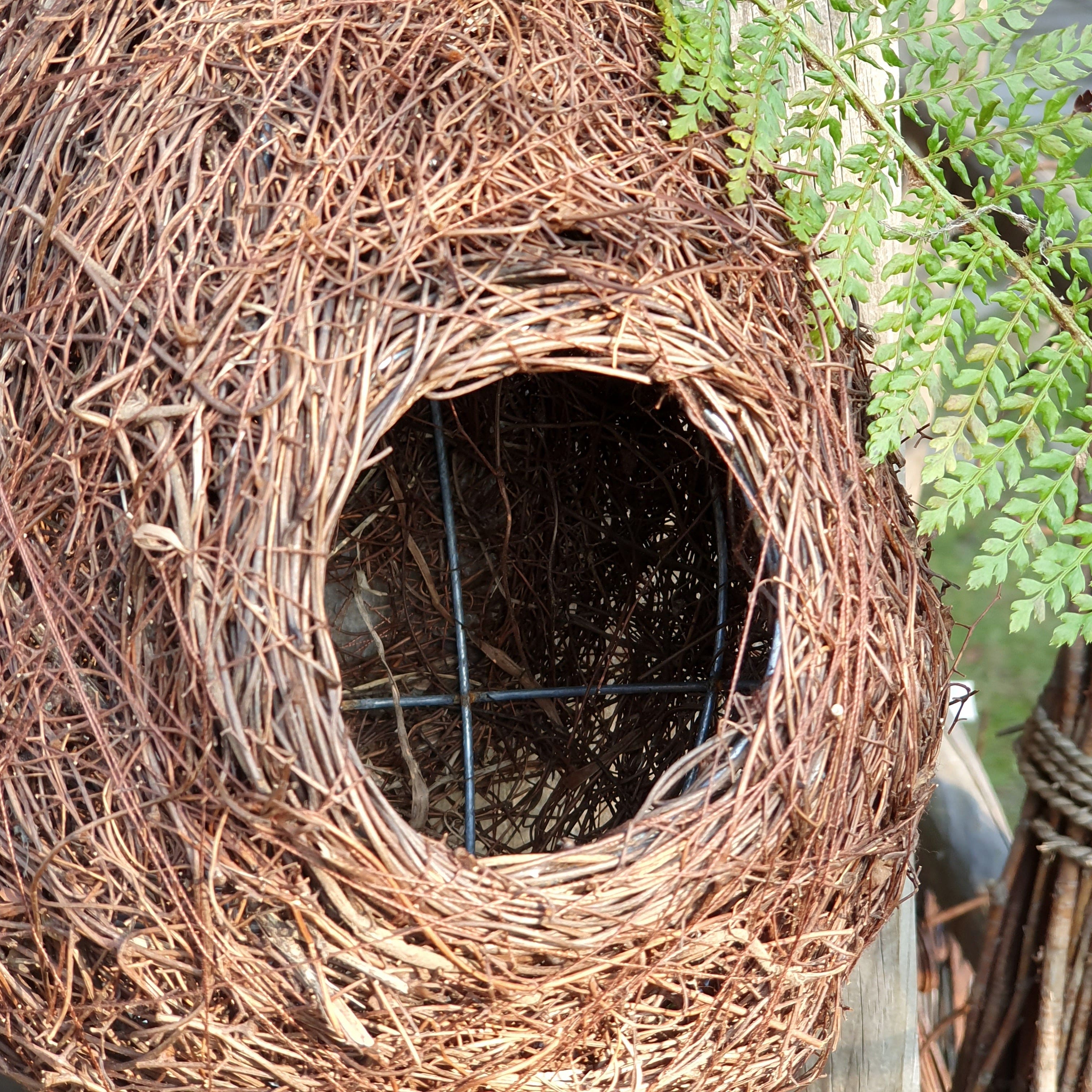 Vogelnest