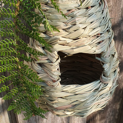 Vogelnest