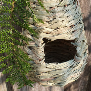 Vogelnest