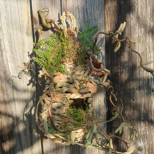 Vogelnest