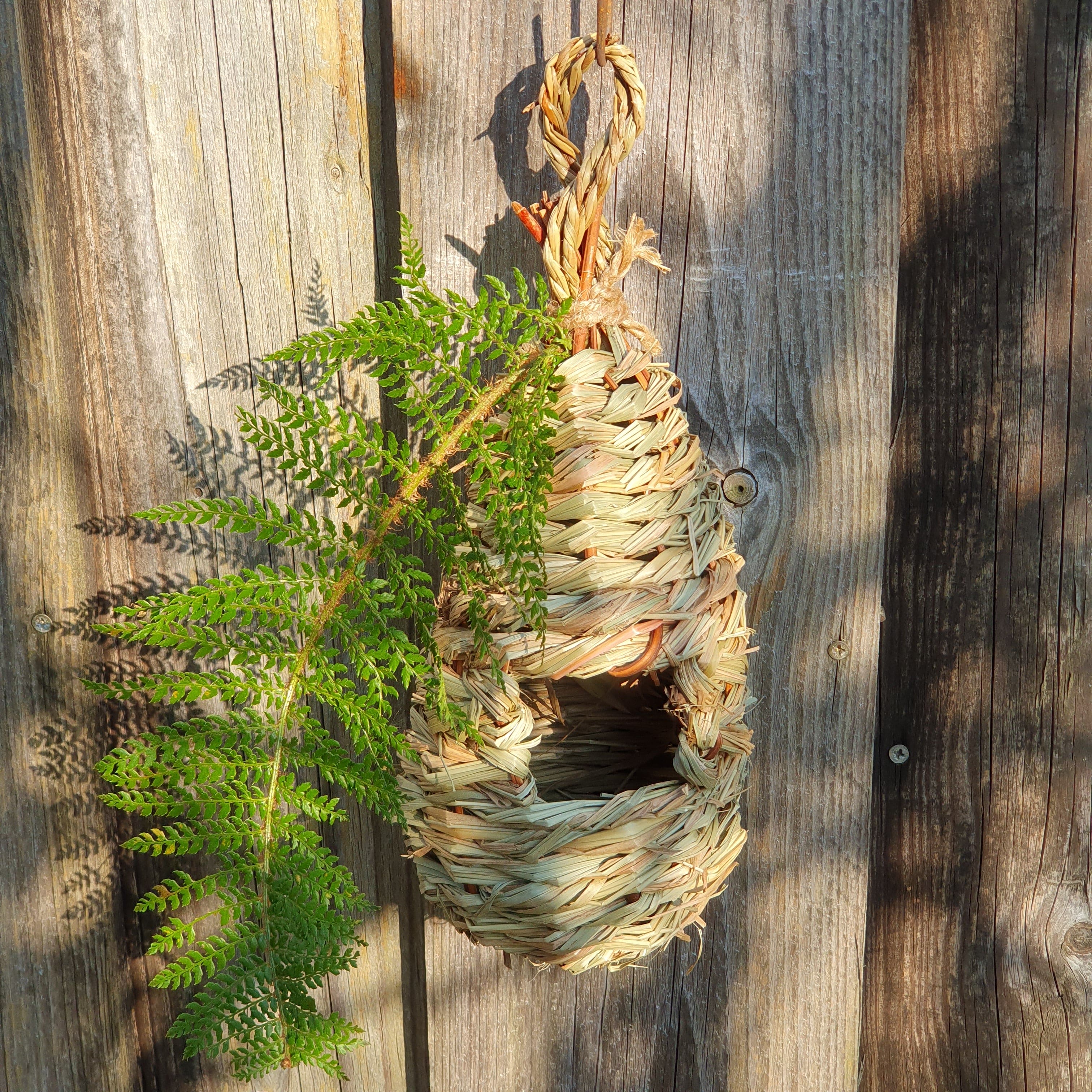 Vogelnest