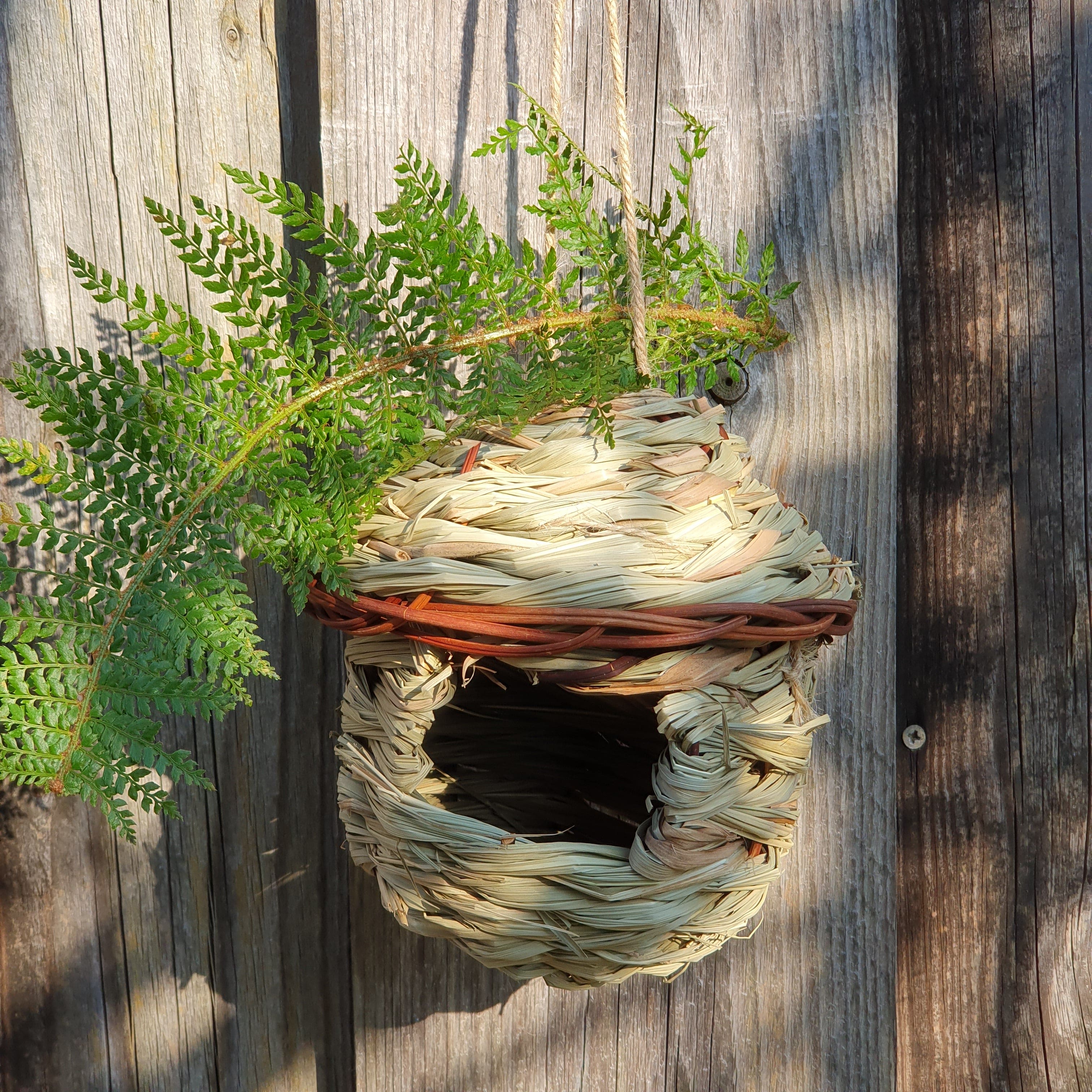 Vogelnest
