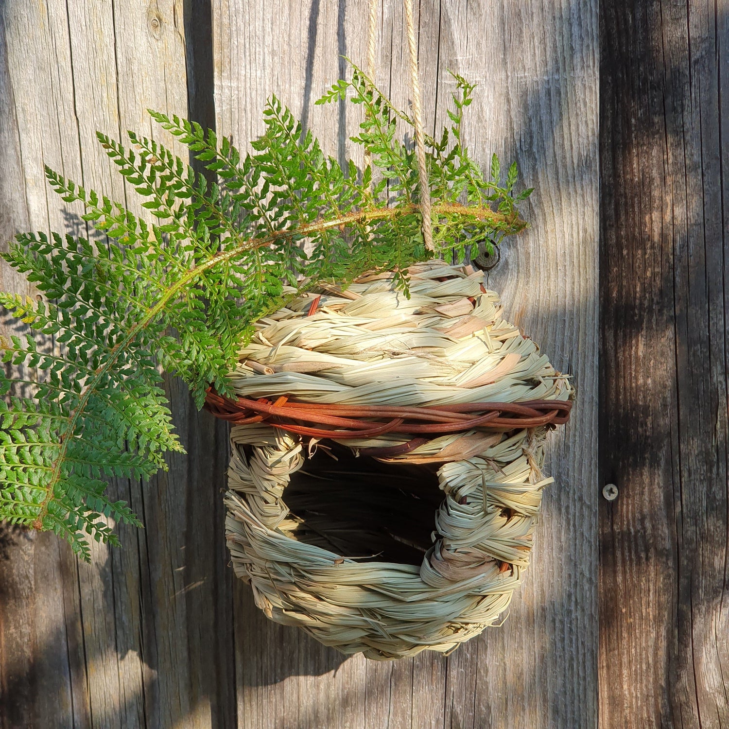 Vogelnest