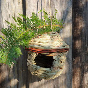 Vogelnest