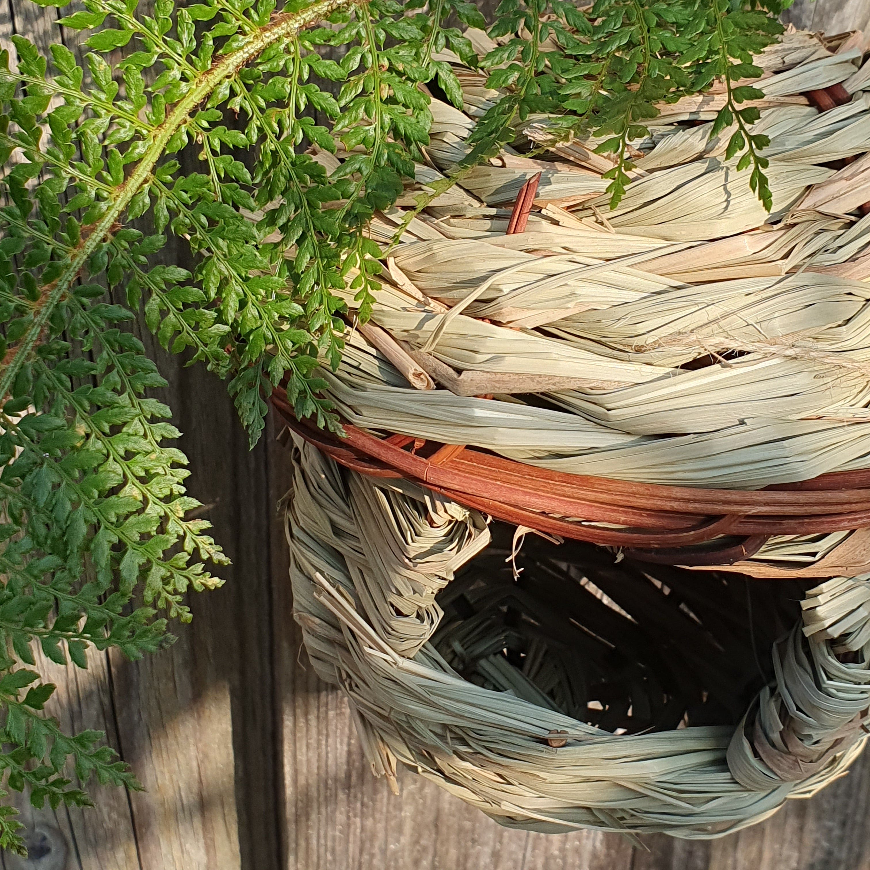 Vogelnest