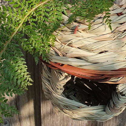 Vogelnest