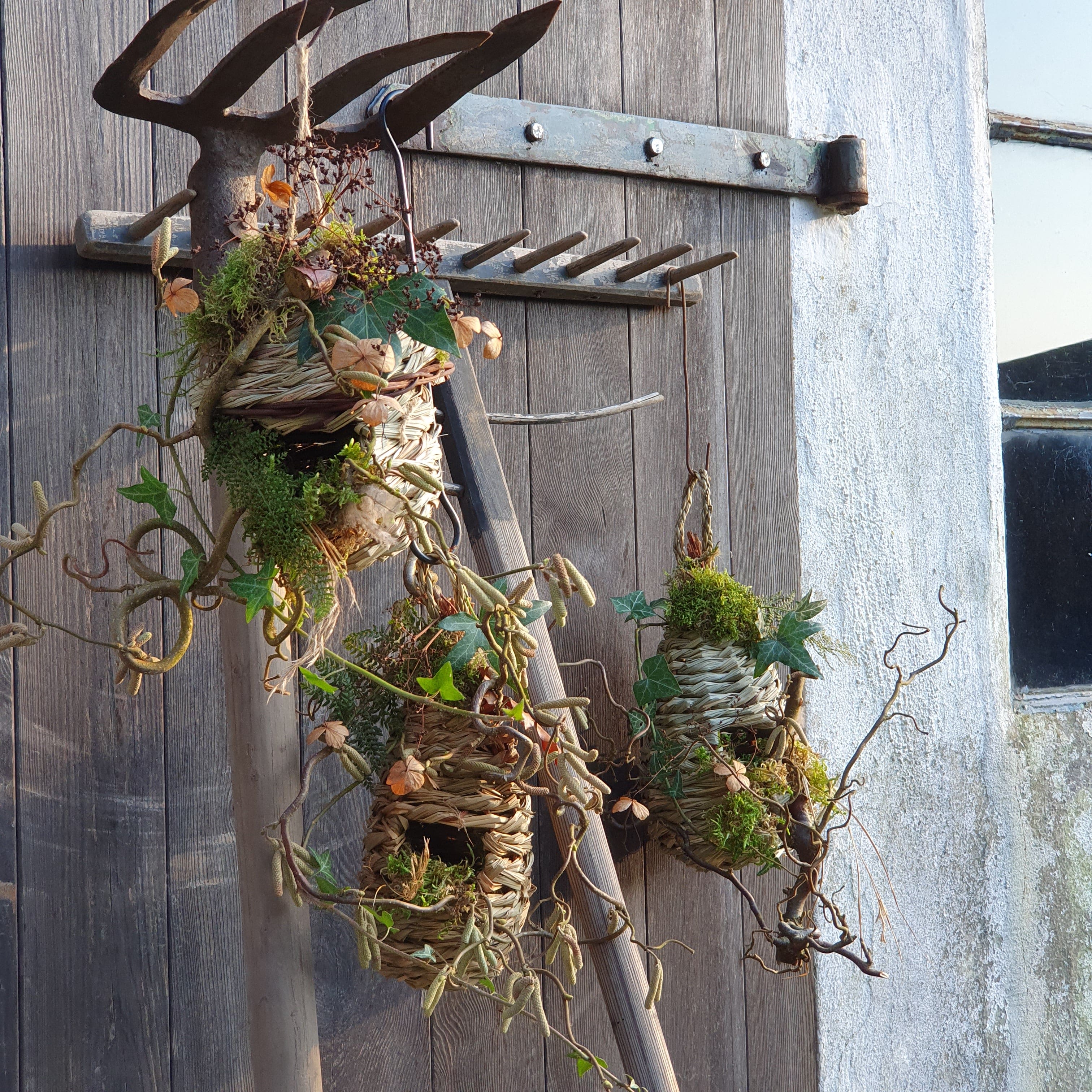 Vogelnest
