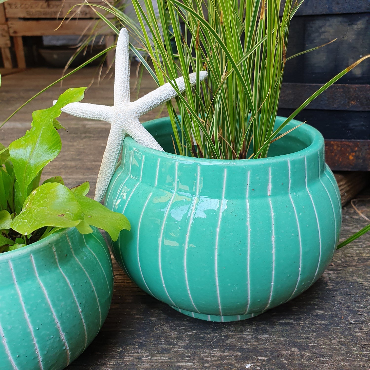 Pflanzvase