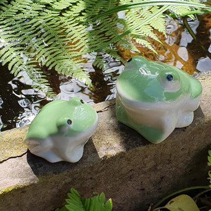 Frosch zum Schwimmen