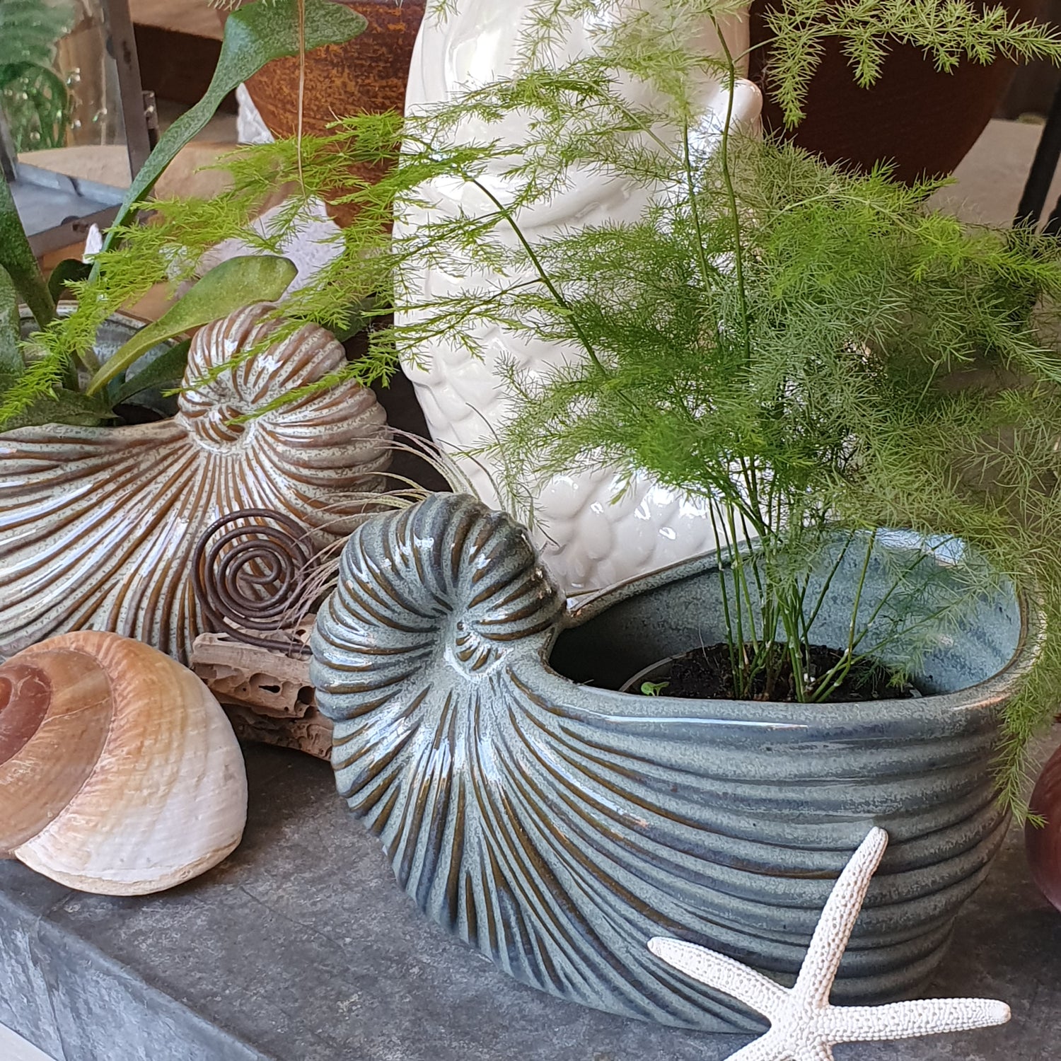 Schnecken Vase