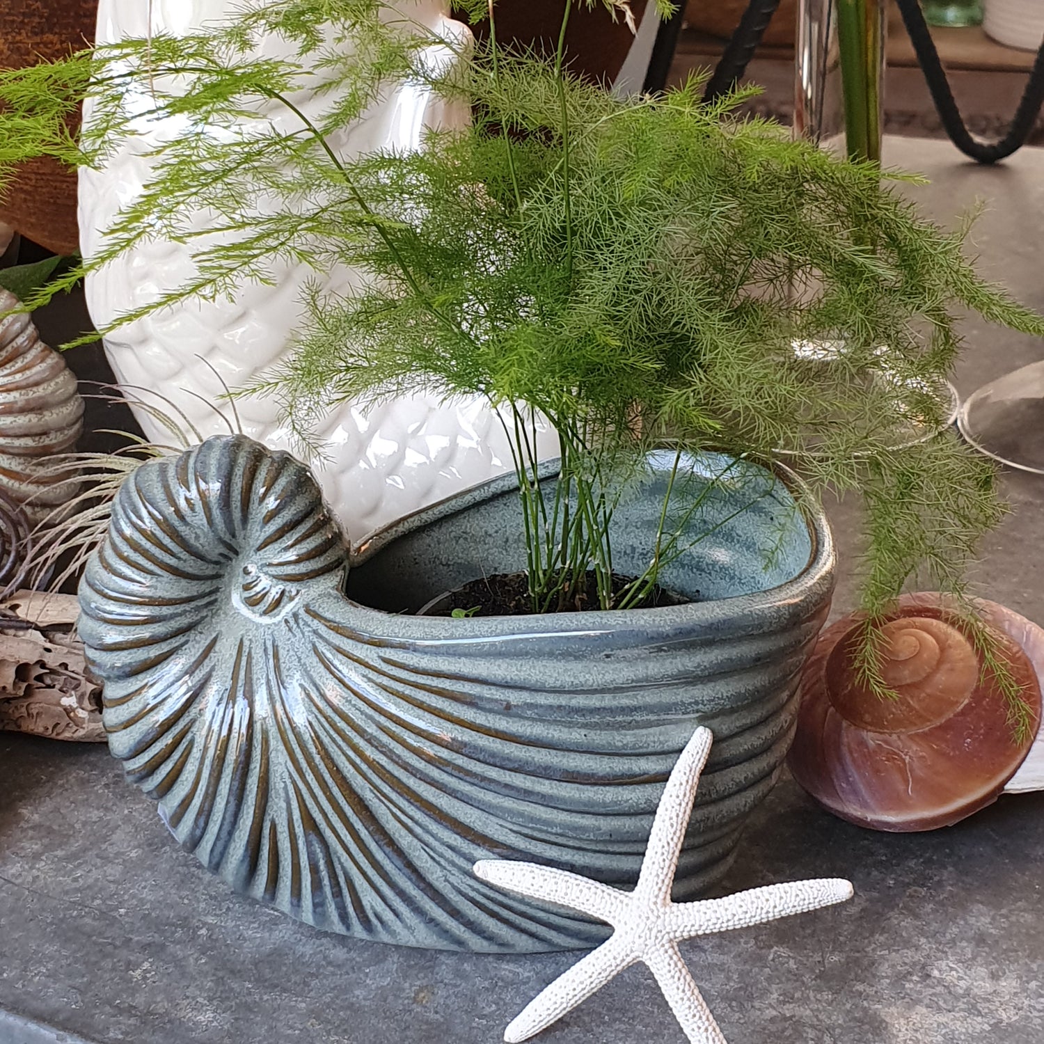 Schnecken Vase