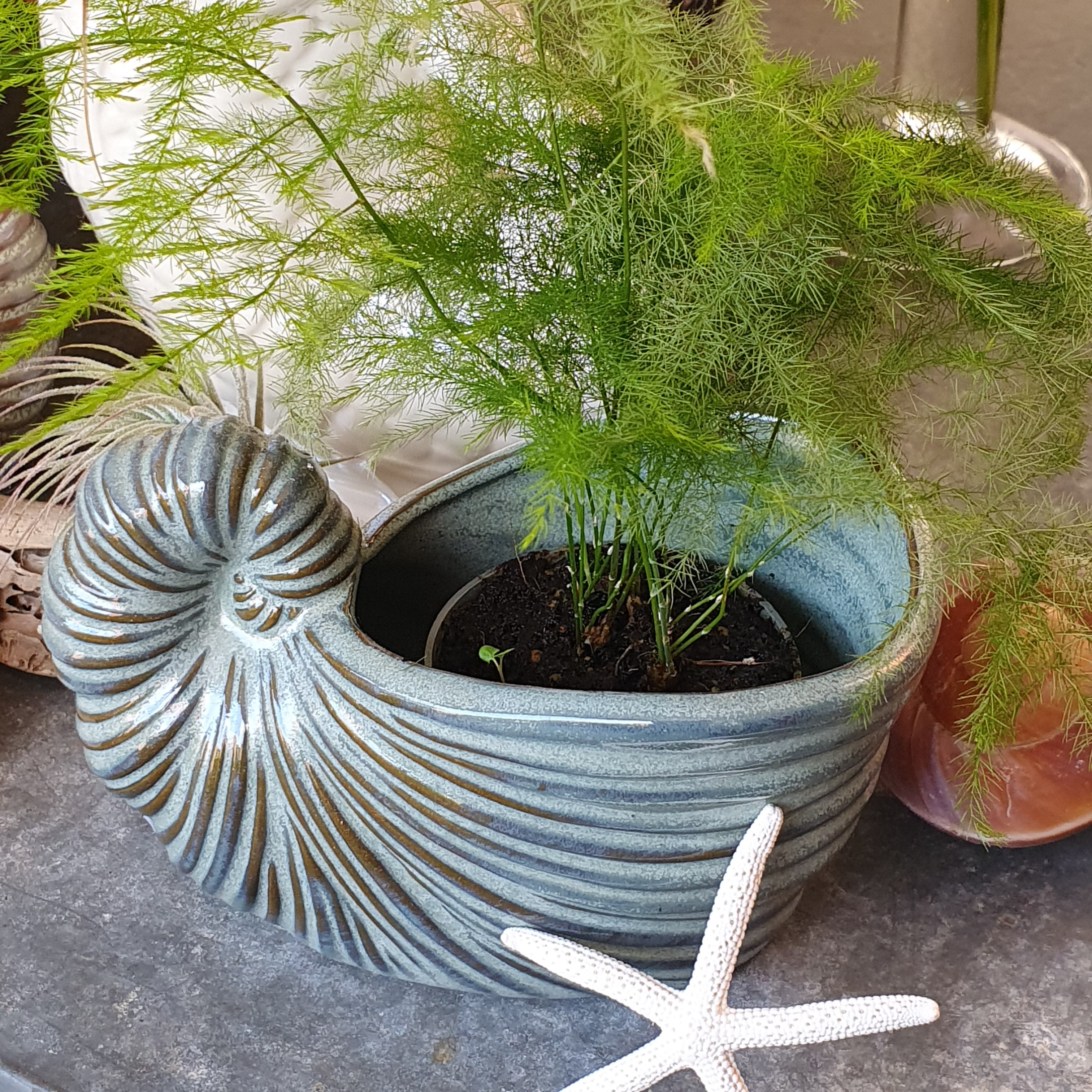 Schnecken Vase