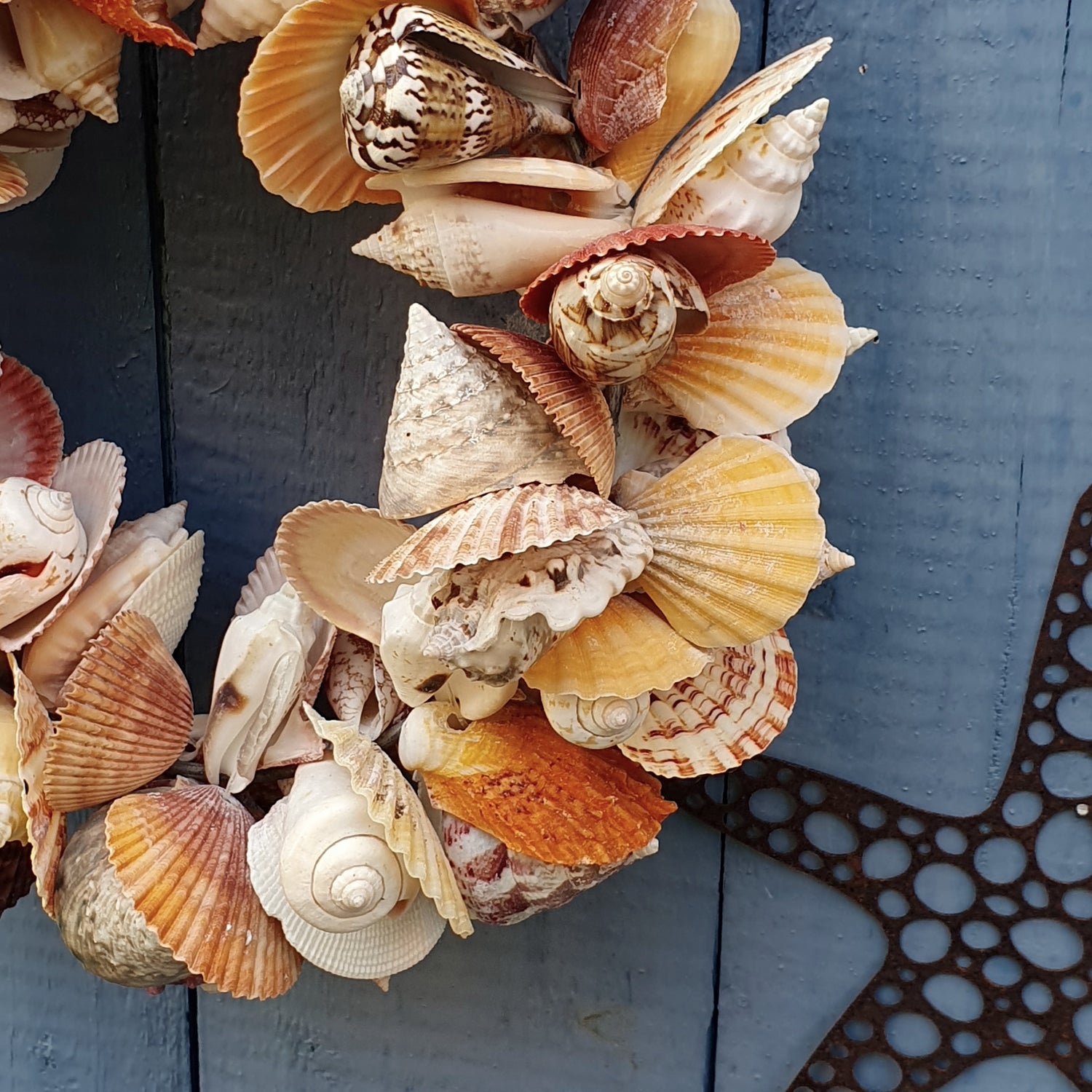Muschelkranz