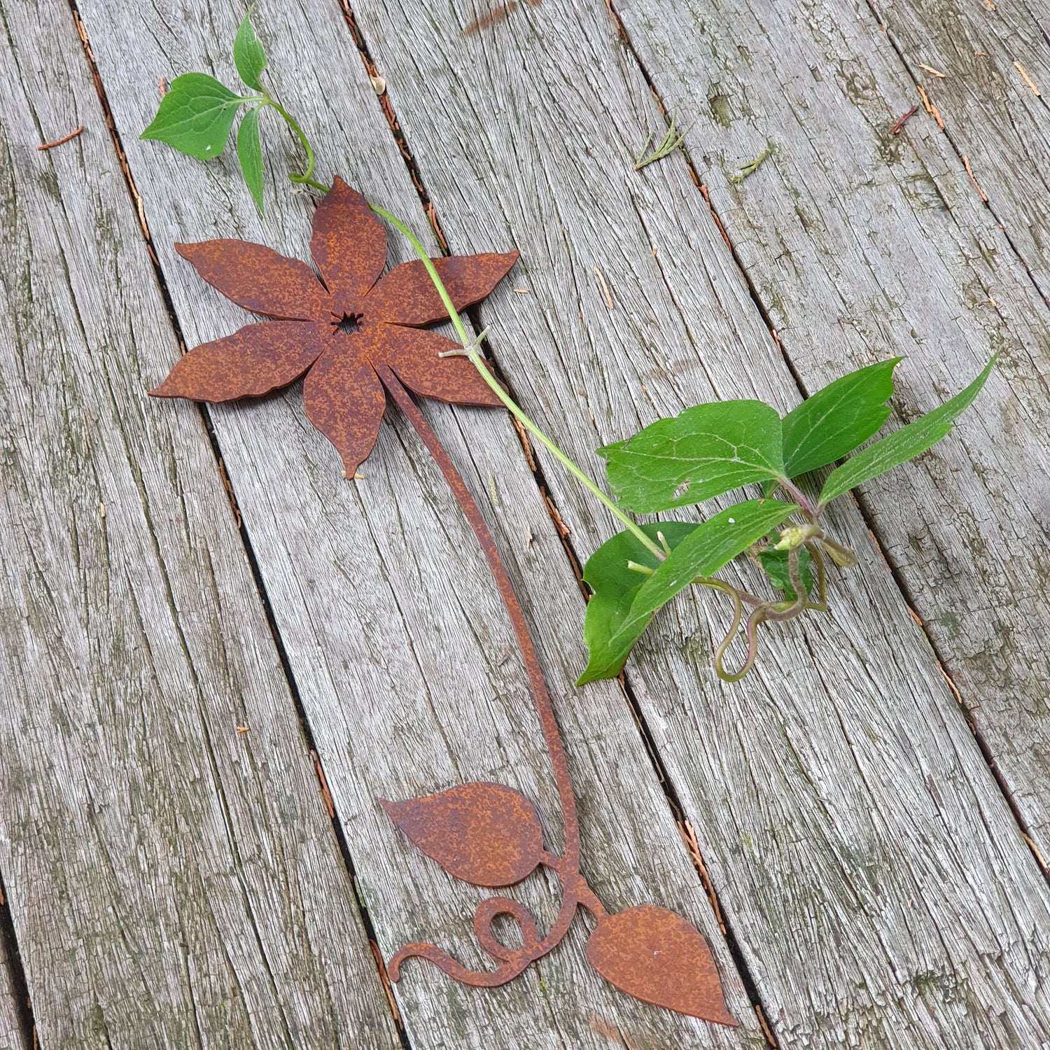 Blume zum Wickeln