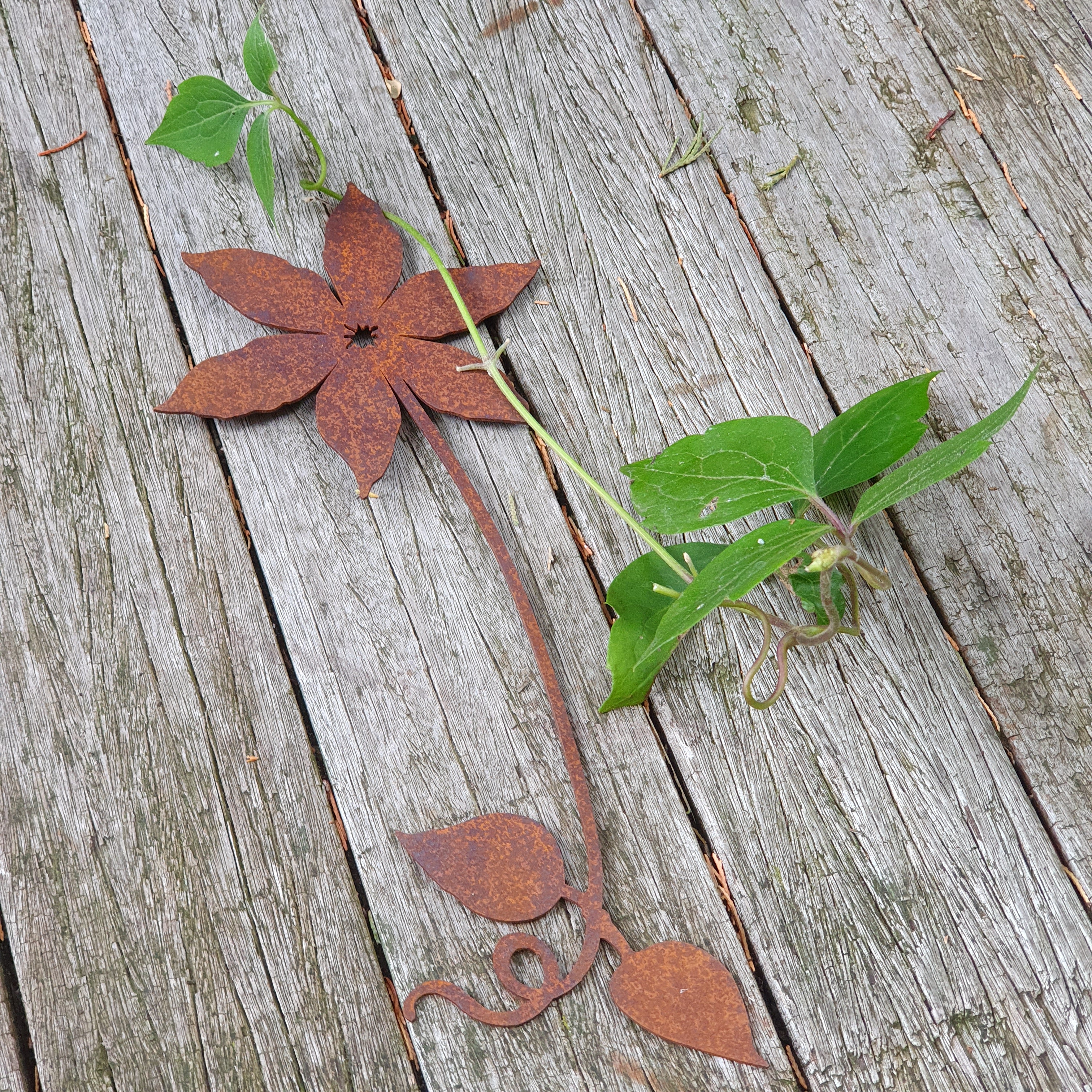 Blume zum Wickeln