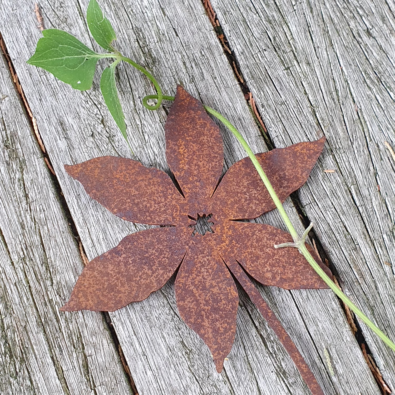 Blume zum Wickeln