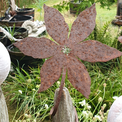 Blume zum Wickeln