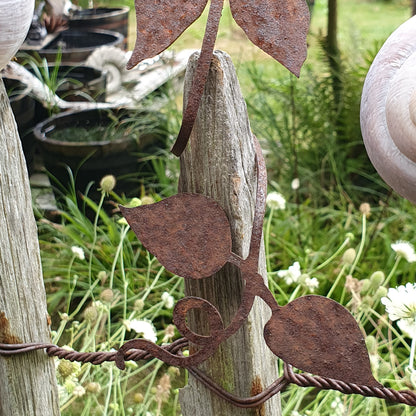 Blume zum Wickeln