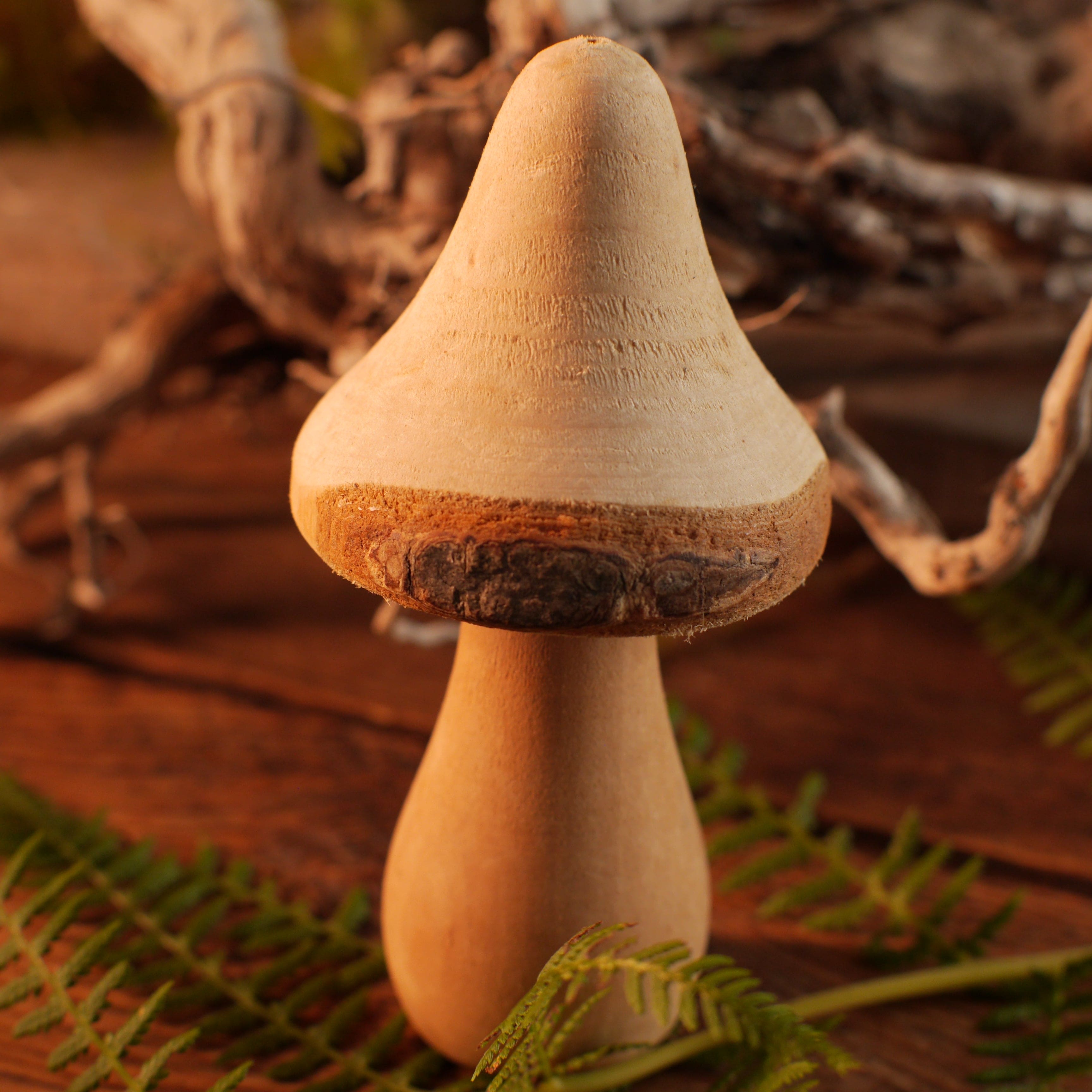 Holzpilz