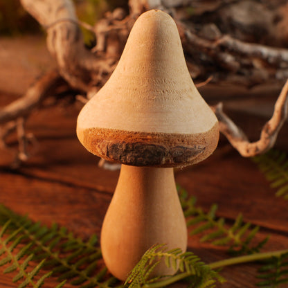 Holzpilz