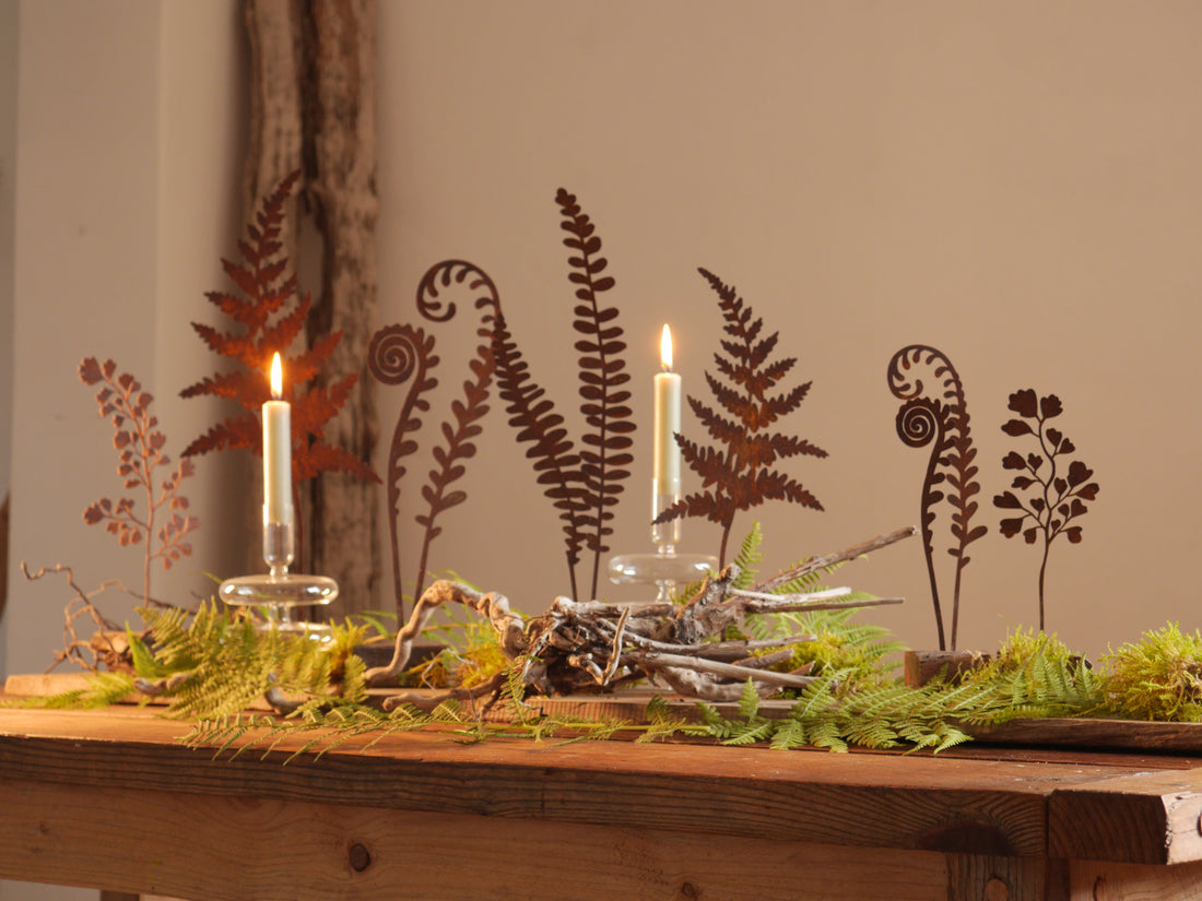 Farnstecker Rost auf Fuß