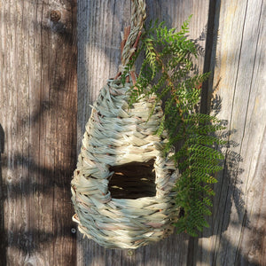 Vogelnest