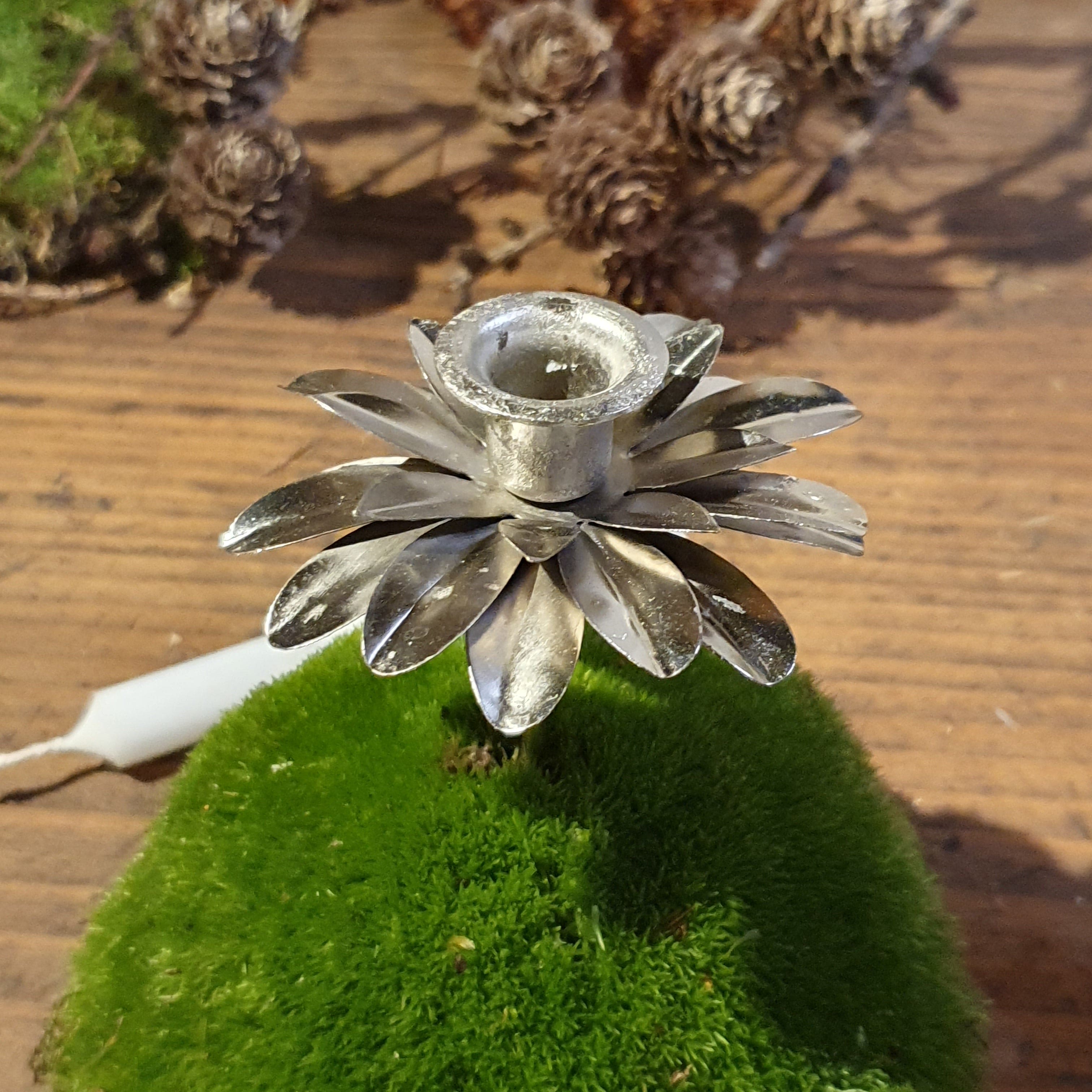 Kerzenpieker Blume