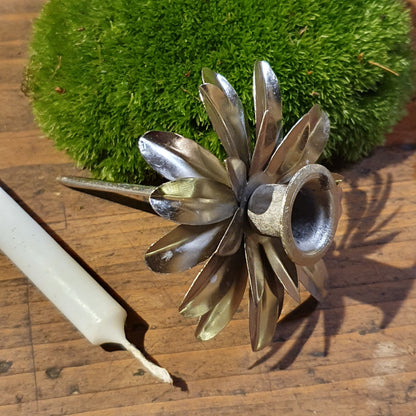 Kerzenpieker Blume