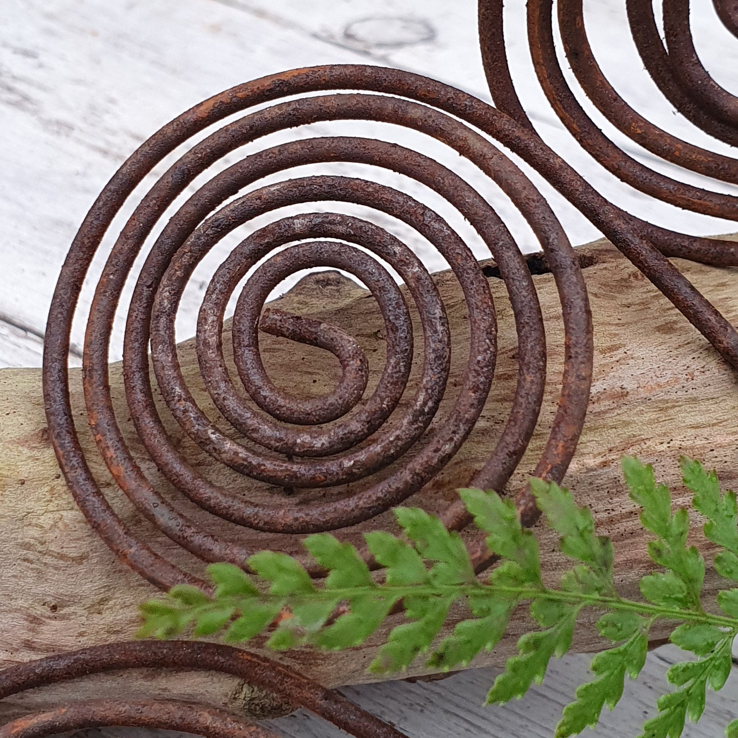 Rostspirale