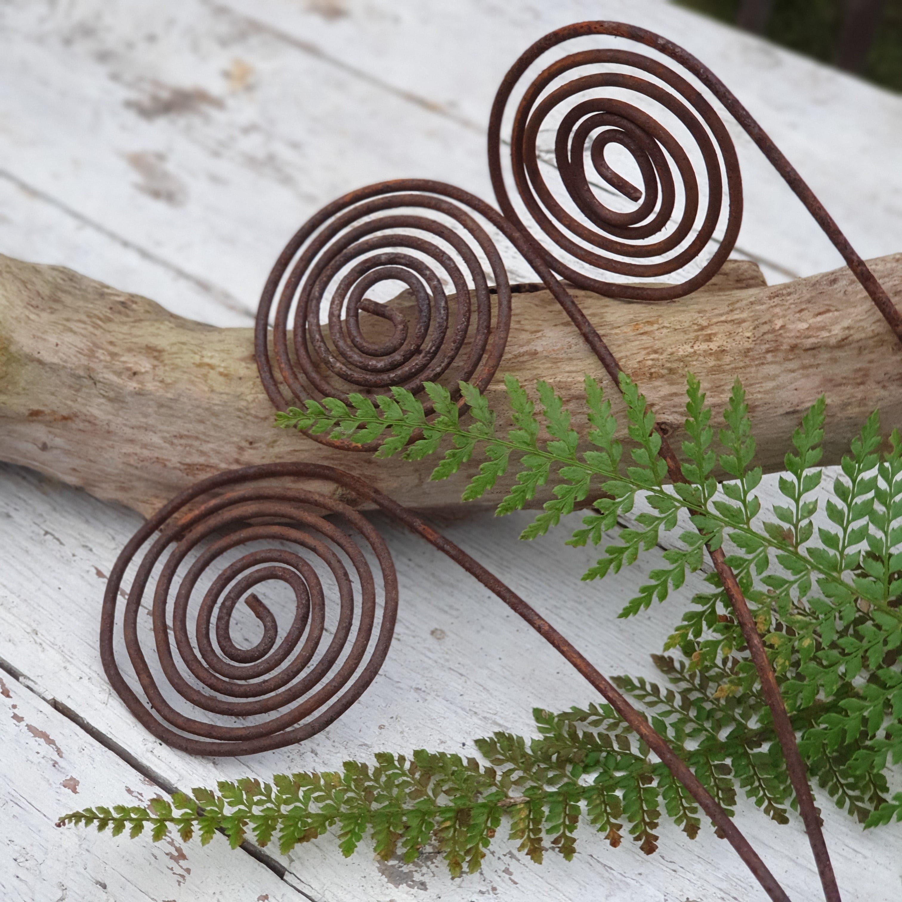 Rostspirale
