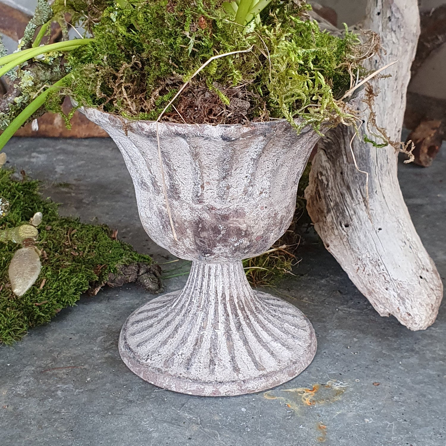 Zinkpokal