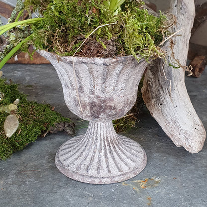 Zinkpokal