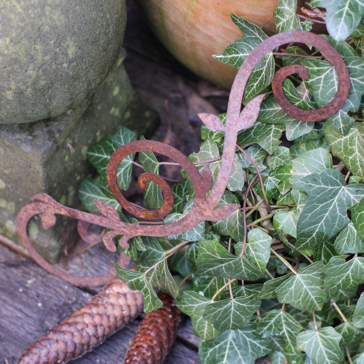 Ornament - Rost