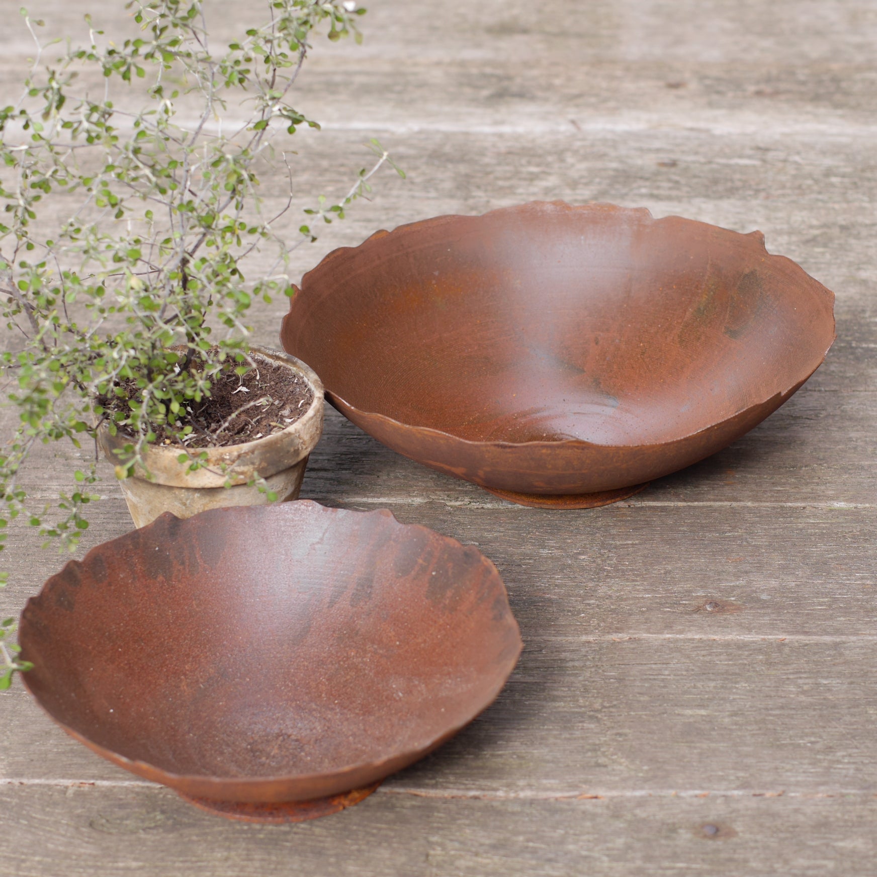 Schale Rost mit welligem Rand