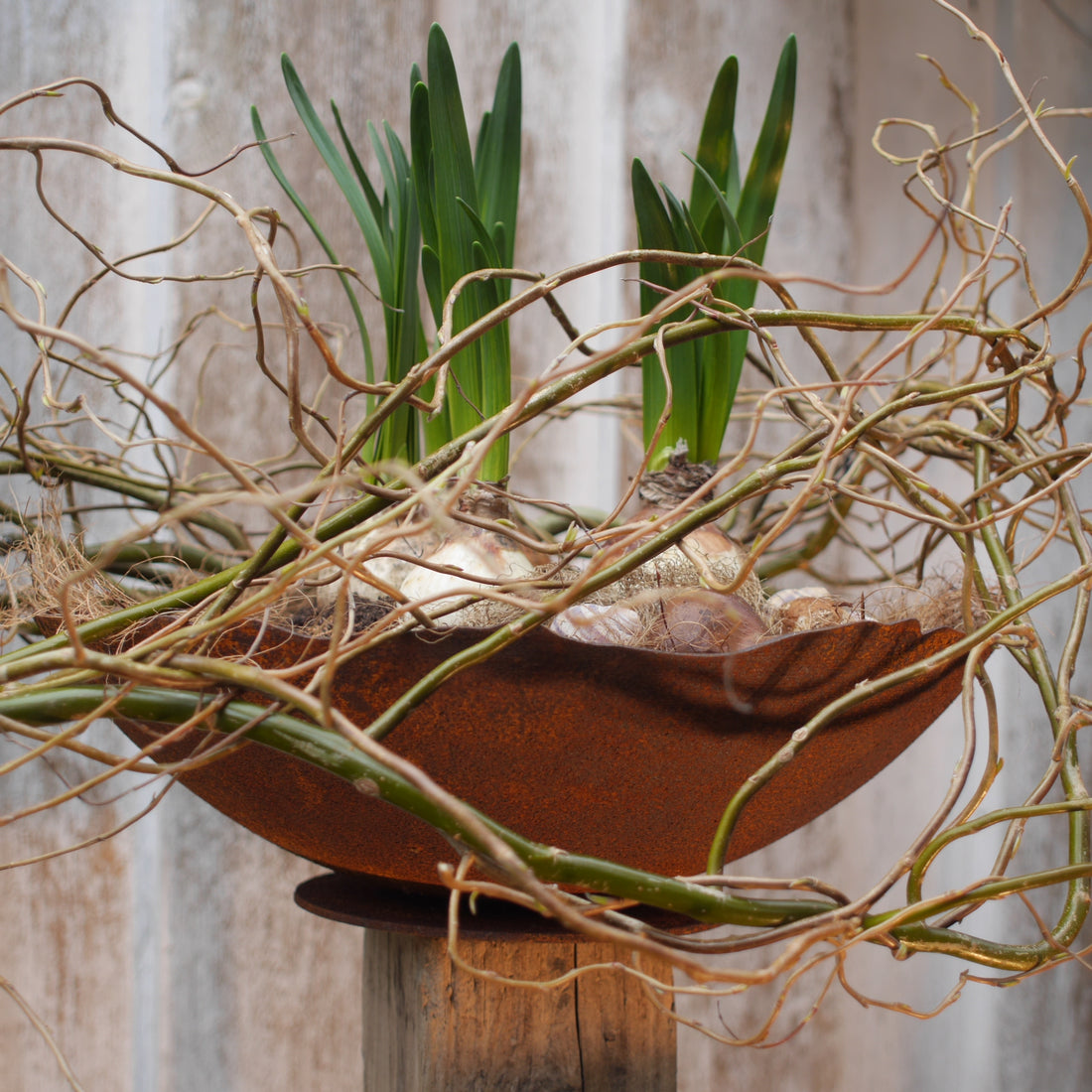 Schale Rost mit welligem Rand